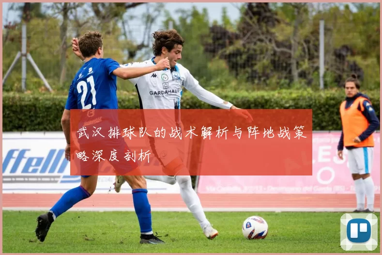 武汉排球队的战术解析与阵地战策略深度剖析