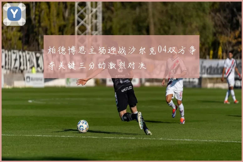 柏德博恩主场迎战沙尔克04双方争夺关键三分的激烈对决