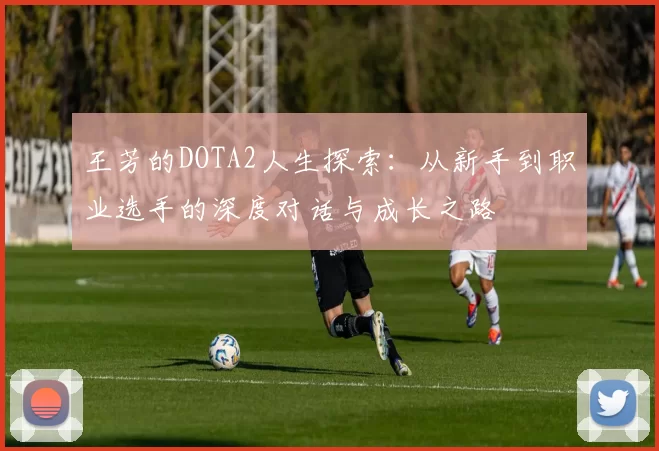王芳的DOTA2人生探索：从新手到职业选手的深度对话与成长之路