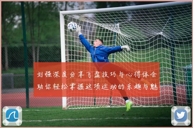 刘强深度分享飞盘技巧与心得体会助你轻松掌握这项运动的乐趣与魅力