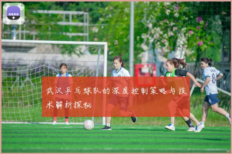 武汉乒乓球队的深度控制策略与技术解析探秘
