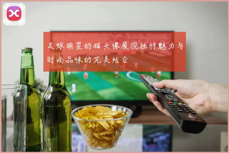 足球明星的猫头像展现独特魅力与时尚品味的完美结合