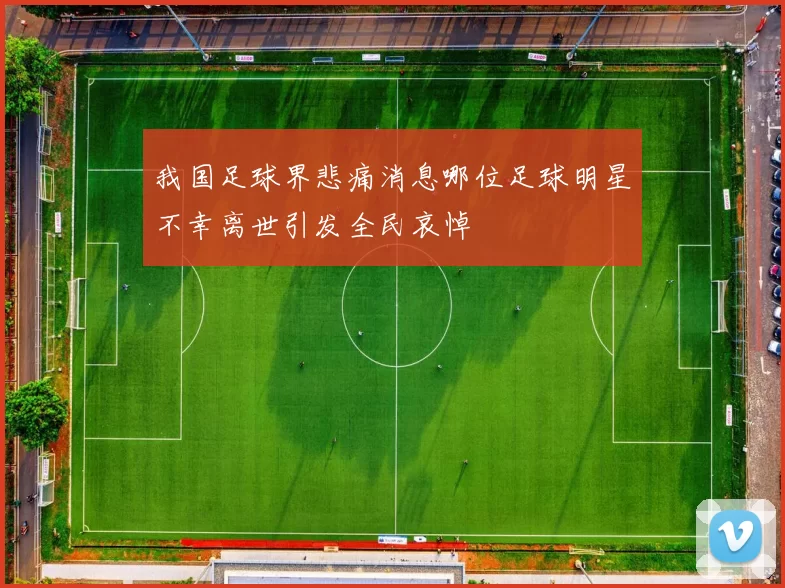 我国足球界悲痛消息哪位足球明星不幸离世引发全民哀悼