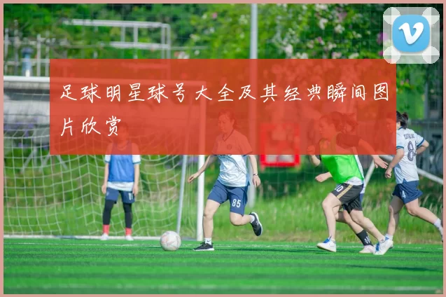 足球明星球号大全及其经典瞬间图片欣赏