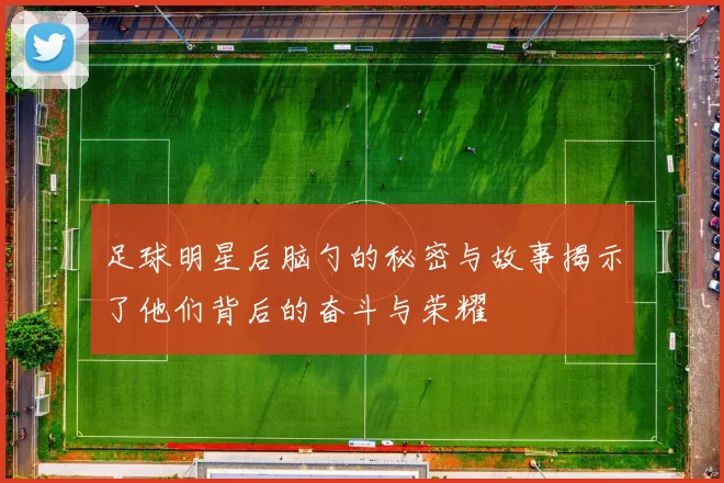 足球明星后脑勺的秘密与故事揭示了他们背后的奋斗与荣耀