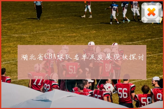 湖北省CBA球队名单及发展现状探讨