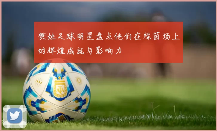 樊姓足球明星盘点他们在绿茵场上的辉煌成就与影响力