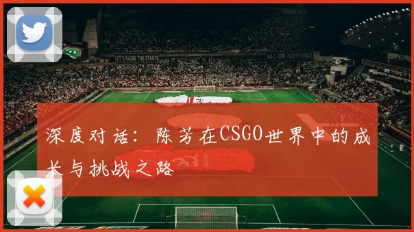 深度对话：陈芳在CSGO世界中的成长与挑战之路